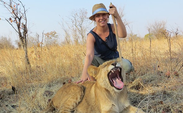 Lion Encounter