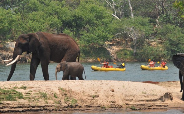 Safari Par Excellence - Canoeing