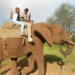 Elephant Back Ride