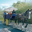 Horse carrige