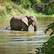 Maramba River Lodge