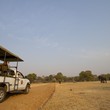 Safpar Game Drive