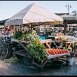Market Tours.