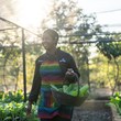 Organic Garden.