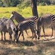 National Park Experience