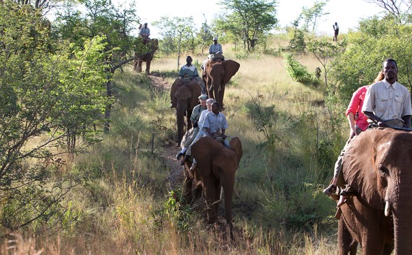 Mukuni Big Five - Elephant Back Safari's